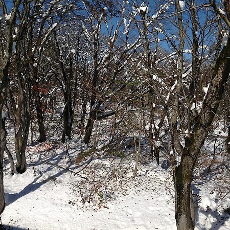 Myoko Kogen Pension Yamasan Екстер'єр фото