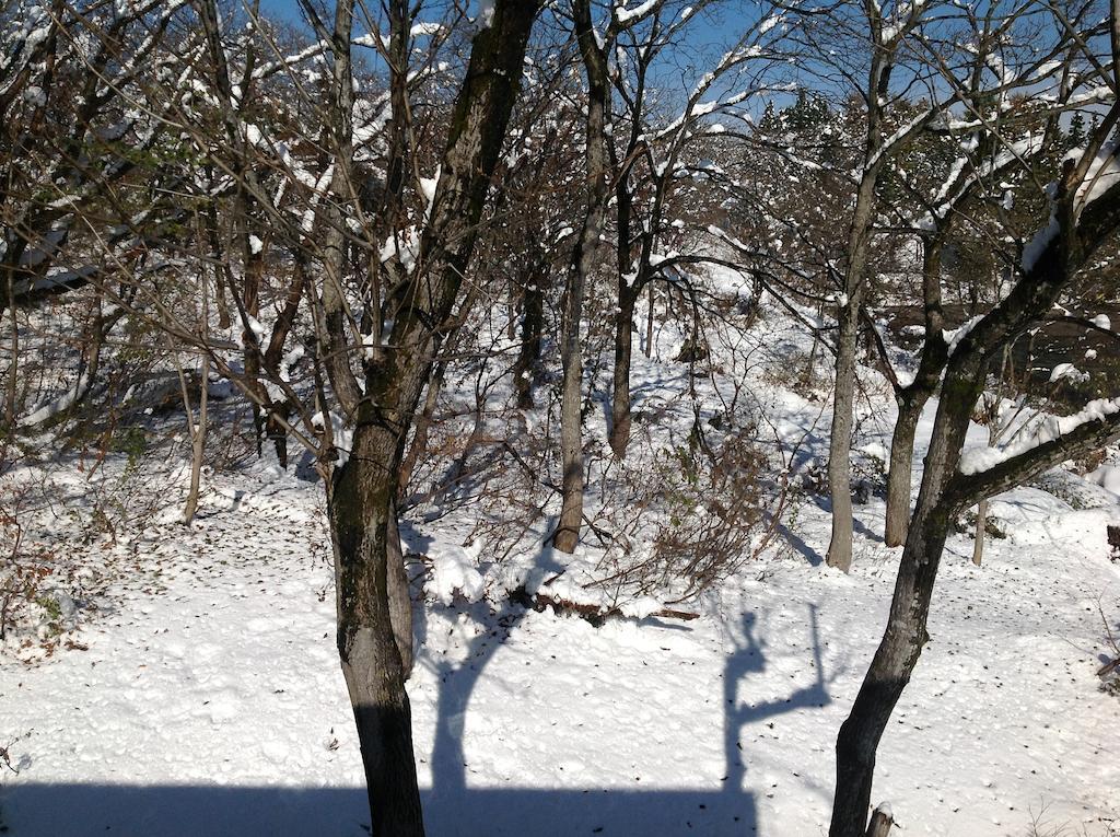 Myoko Kogen Pension Yamasan Екстер'єр фото